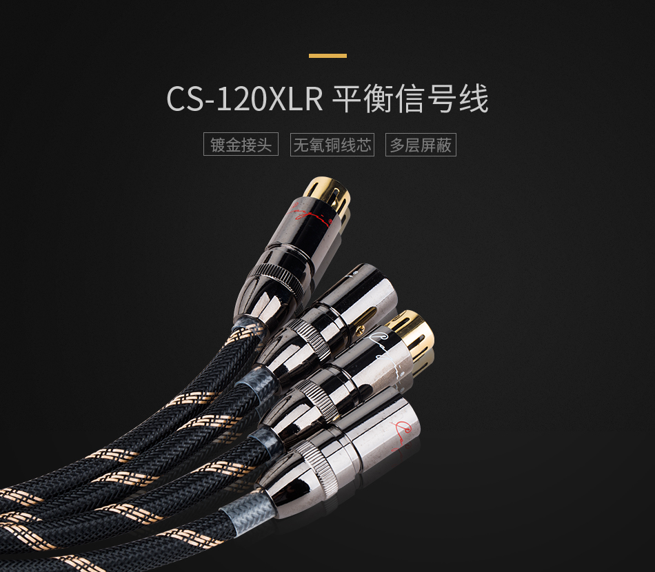 CS-120XLR_01.jpg